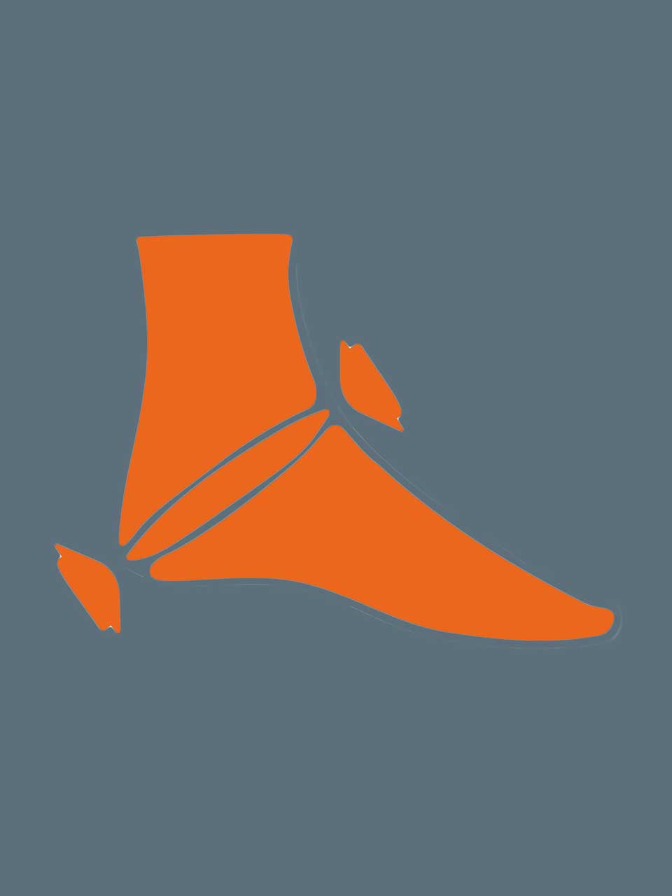 Ankle support  MALLEOFIT 81